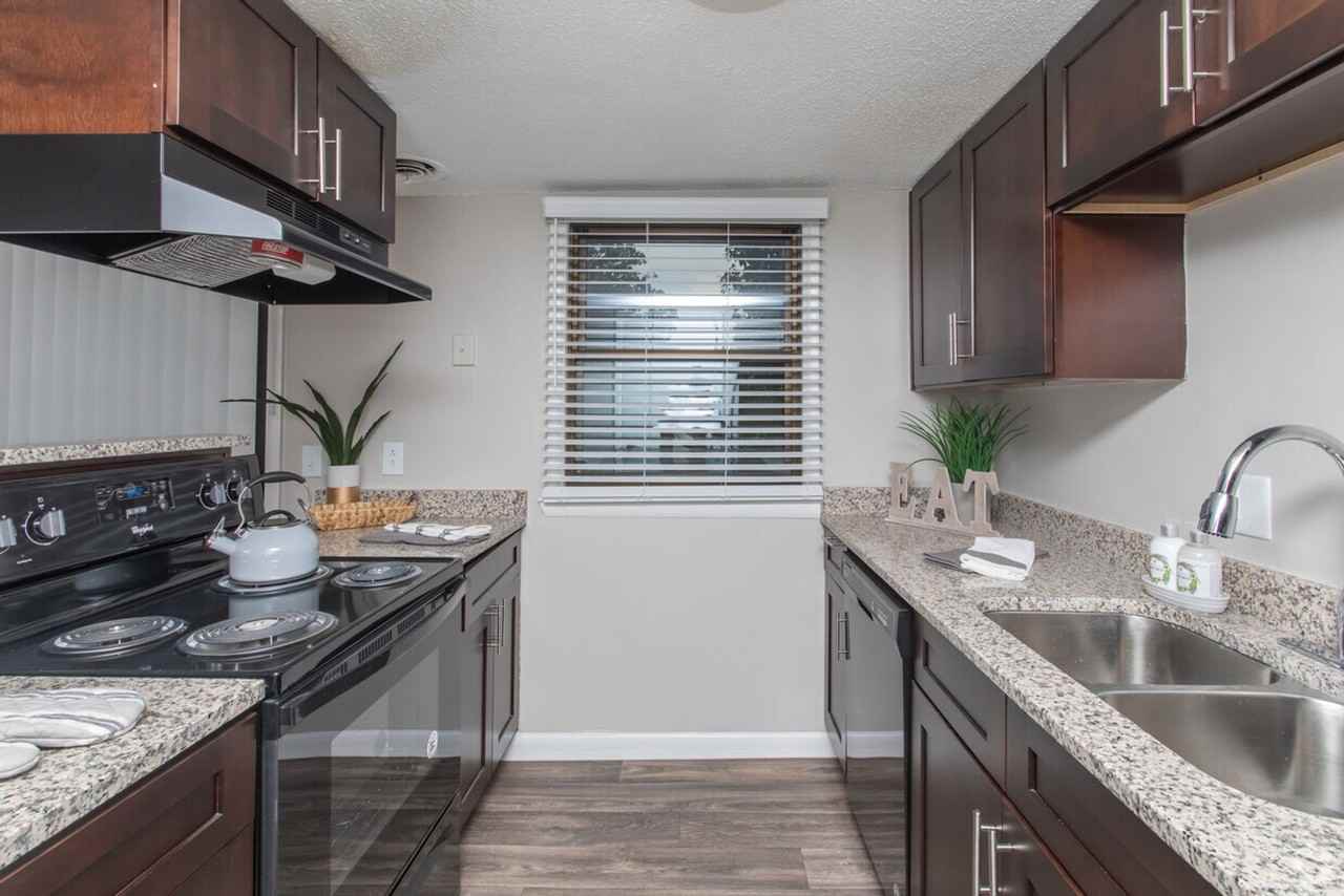 The woods At camp Creek - Photo 5 of 13