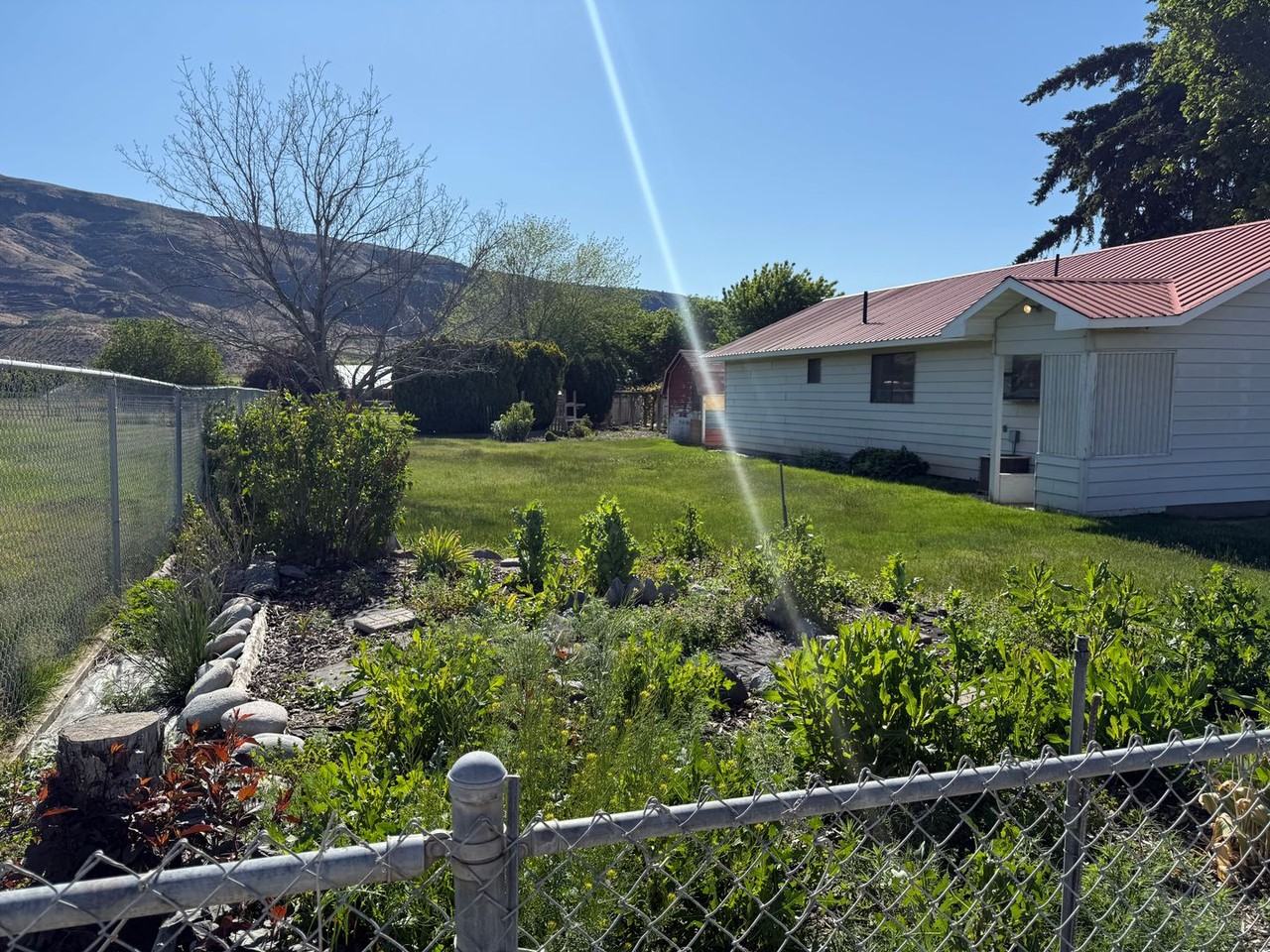 1451 Douglas St - Photo 4 of 10