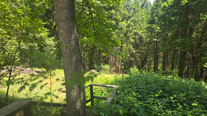 14880 Mosswood Ln - Photo 6 of 20