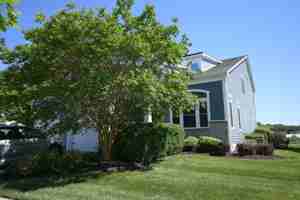 featured image of 38918 Blue Indigo Rd