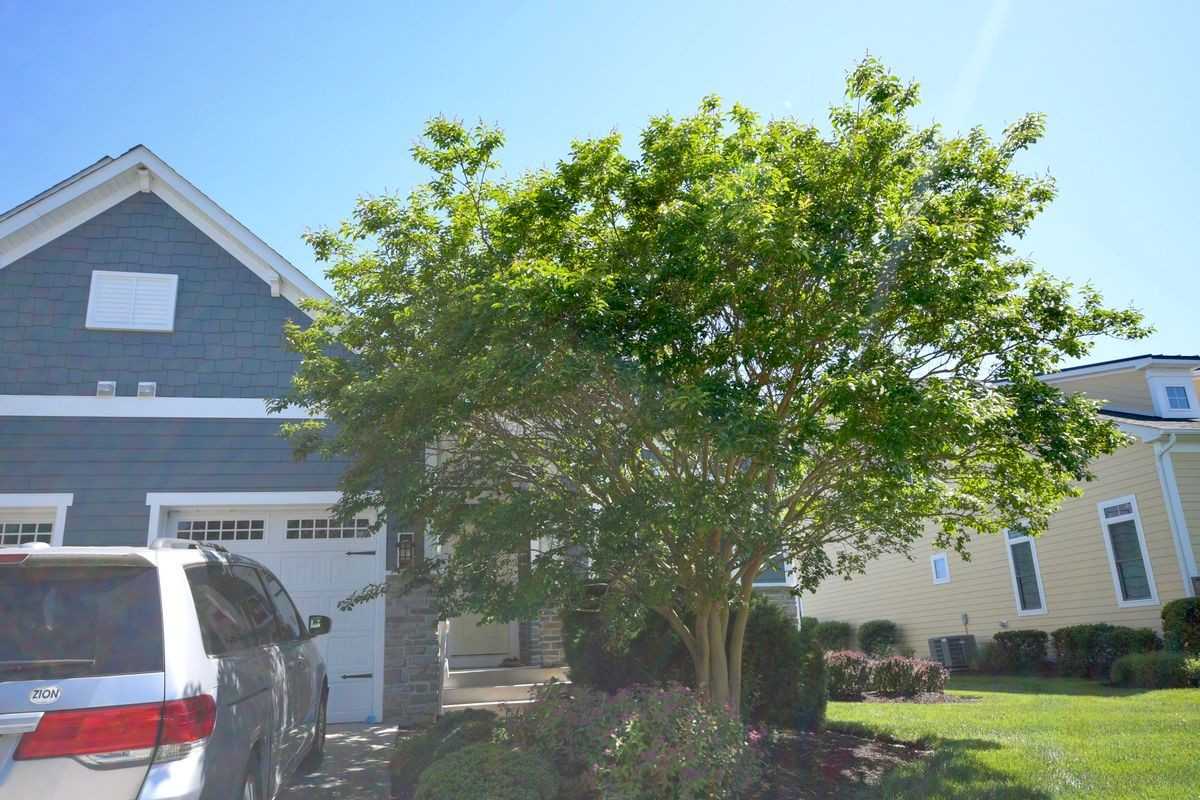 38918 Blue Indigo Rd - Photo 2 of 21