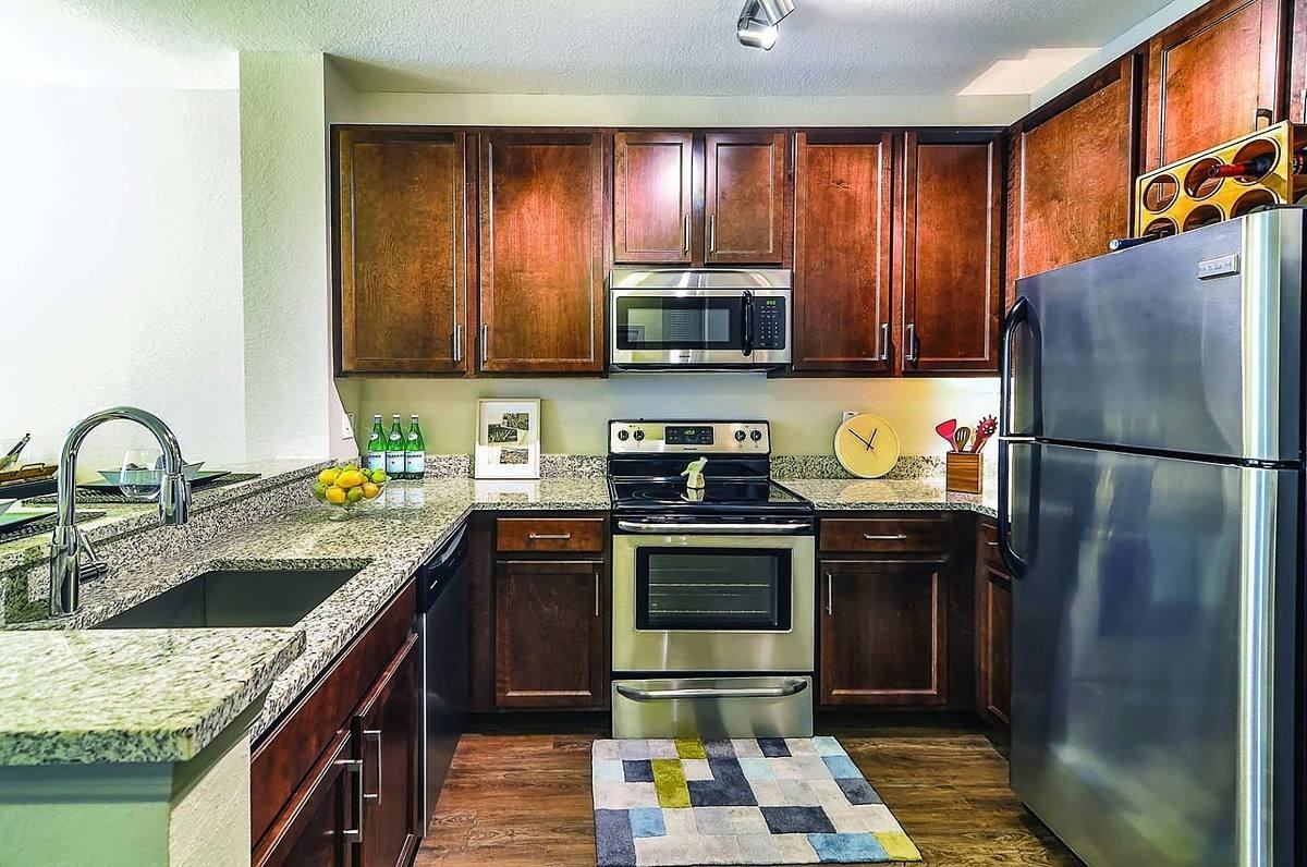 873 Ibis Walk Pl N - Photo 4 of 15