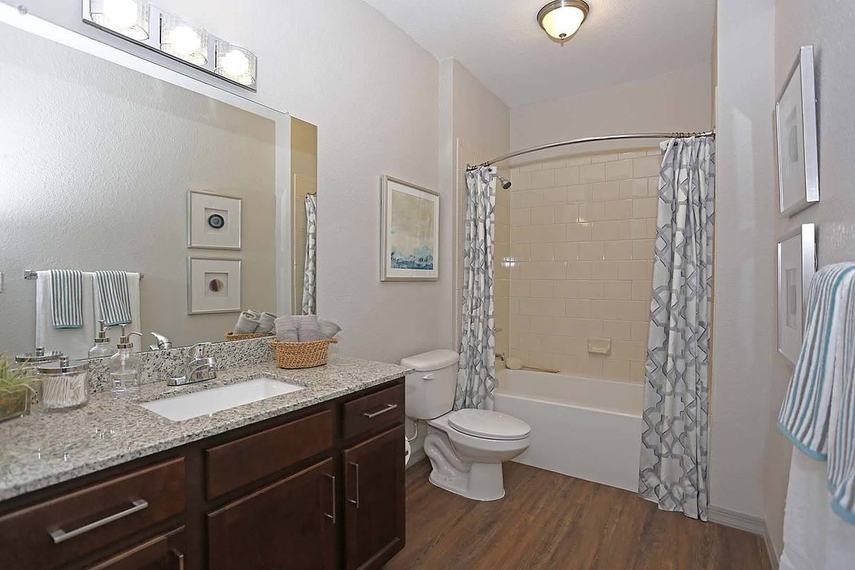 873 Ibis Walk Pl N - Photo 5 of 15