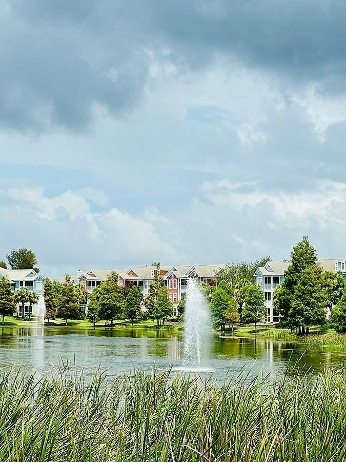 11859 Dr Martin Luther King Jr St N - Photo 3 of 20