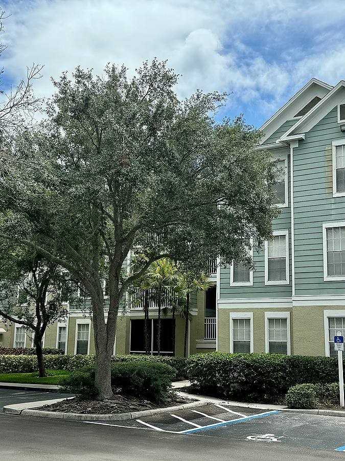 11859 Dr Martin Luther King Jr St N - Photo 7 of 20