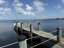 featured image of 40 Pigeon Dr