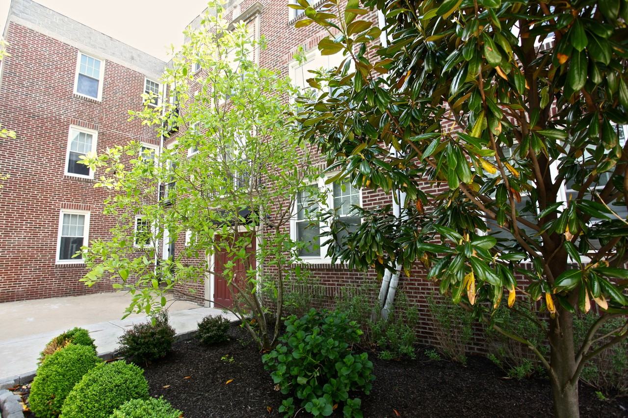 Southmore Court in Havertown - Photo 3 of 18