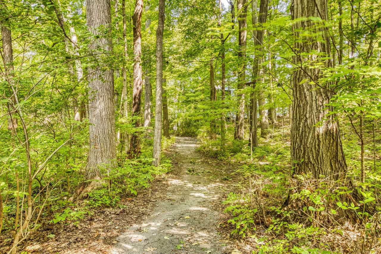 HIBERNIA - Photo 6 of 102