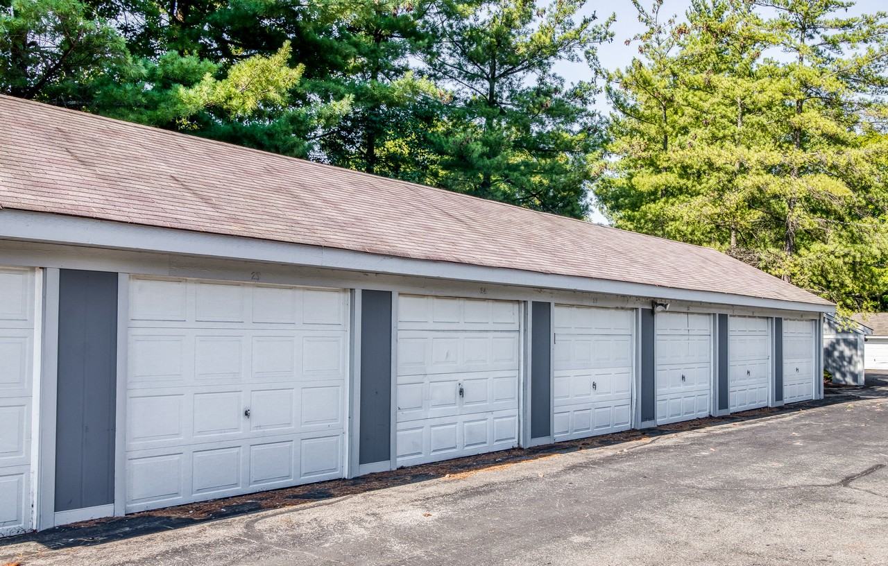 HIBERNIA - Photo 7 of 102