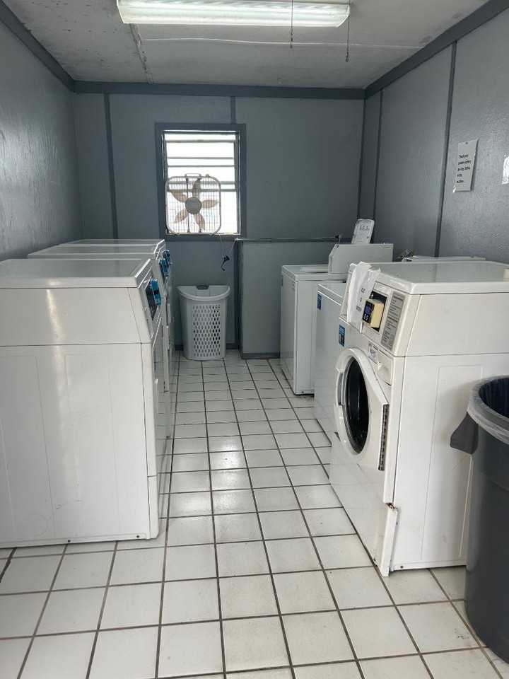 Amelia - Photo 6 of 7