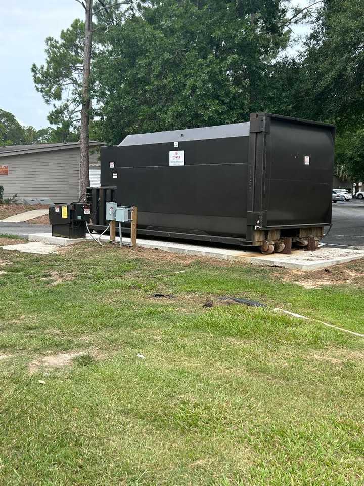 Amelia - Photo 7 of 7