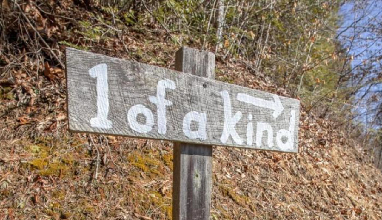 134 Apple Rock Rd - Photo 2 of 25