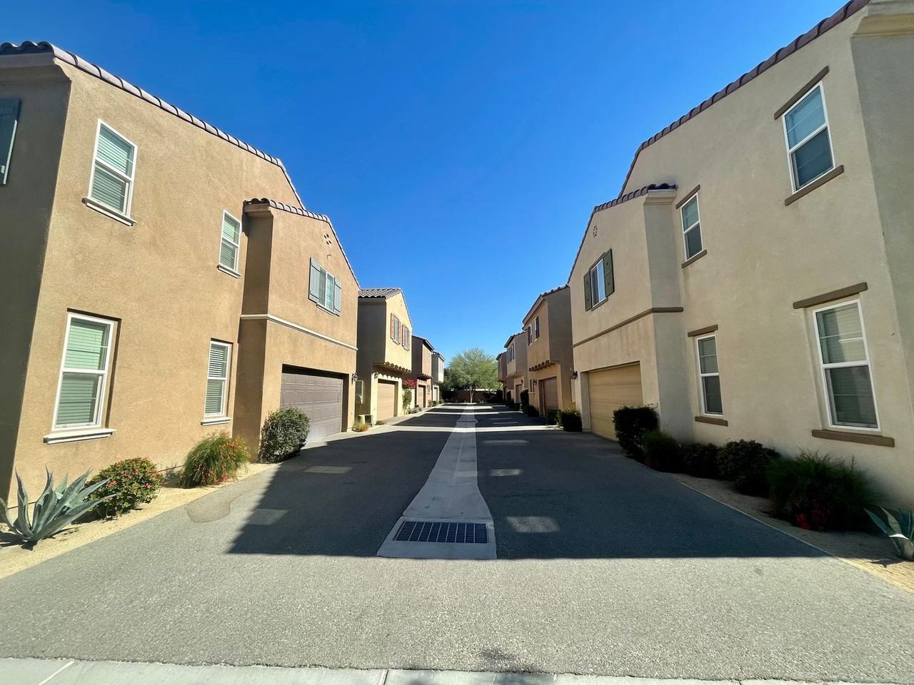 617 Calle Vibrante - Photo 4 of 28