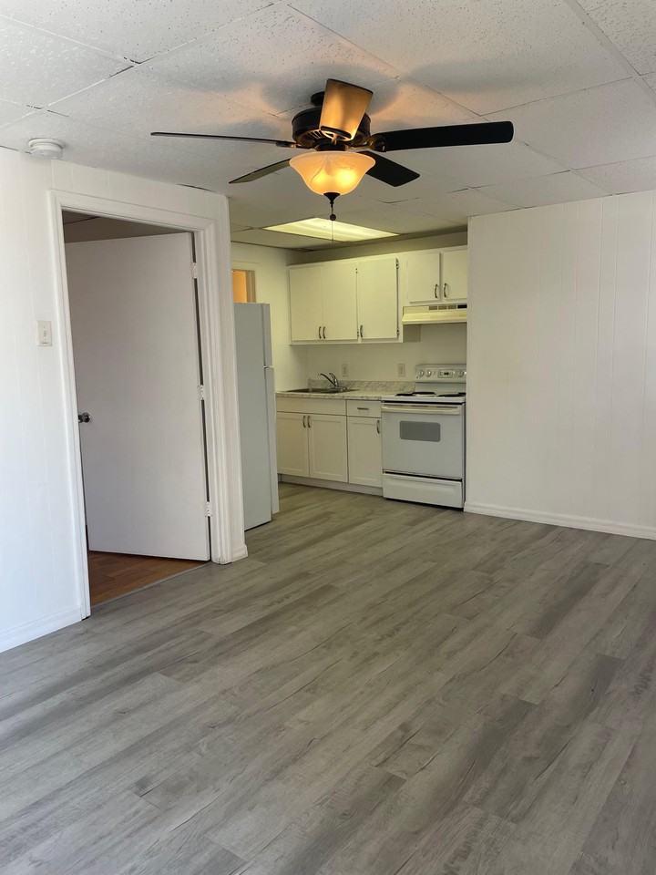 203 5th St #1 - Photo 2 of 5