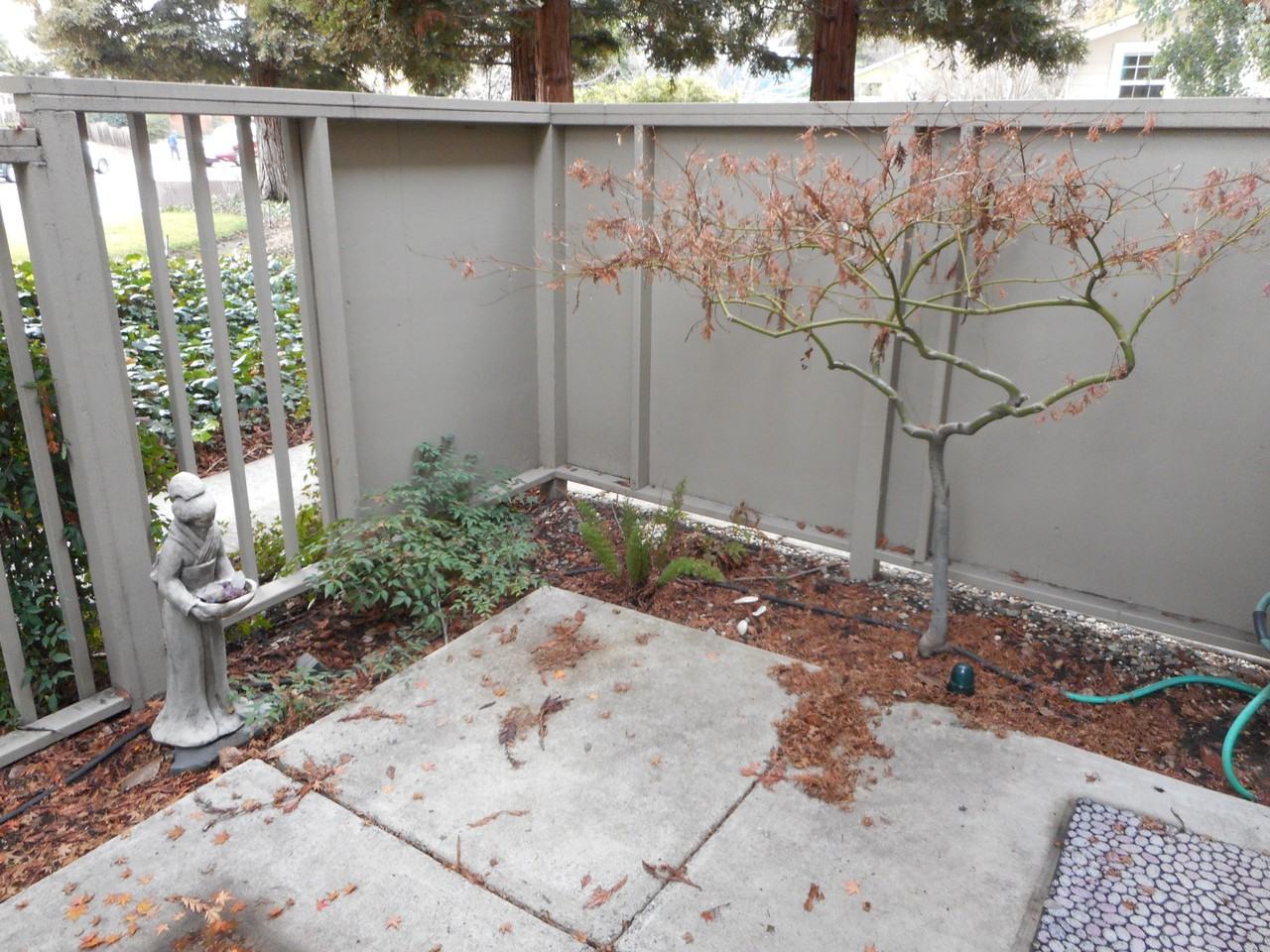 1714 Parkside Dr - Photo 2 of 12