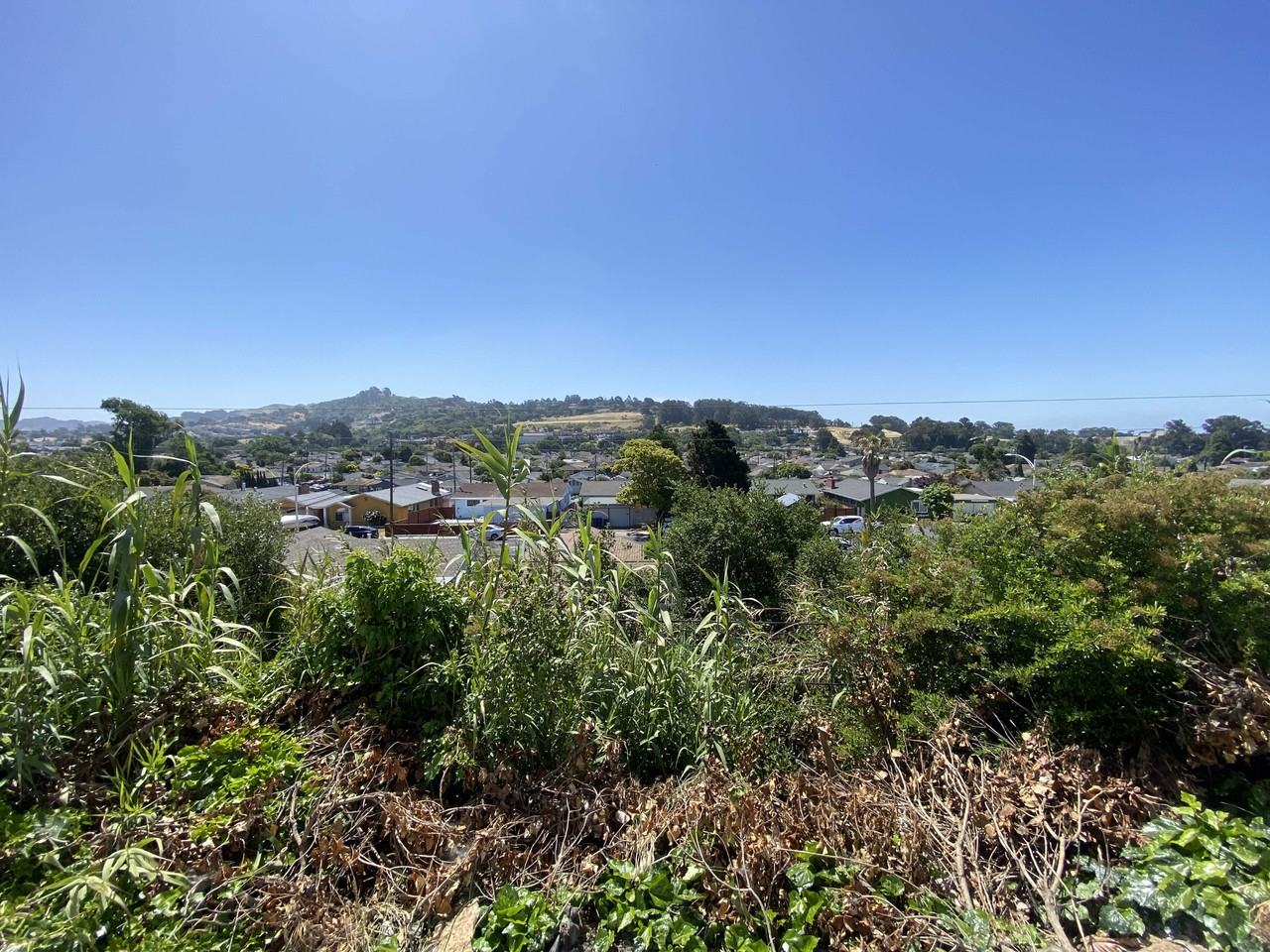 2548 Duke Ave #NA - Photo 2 of 16