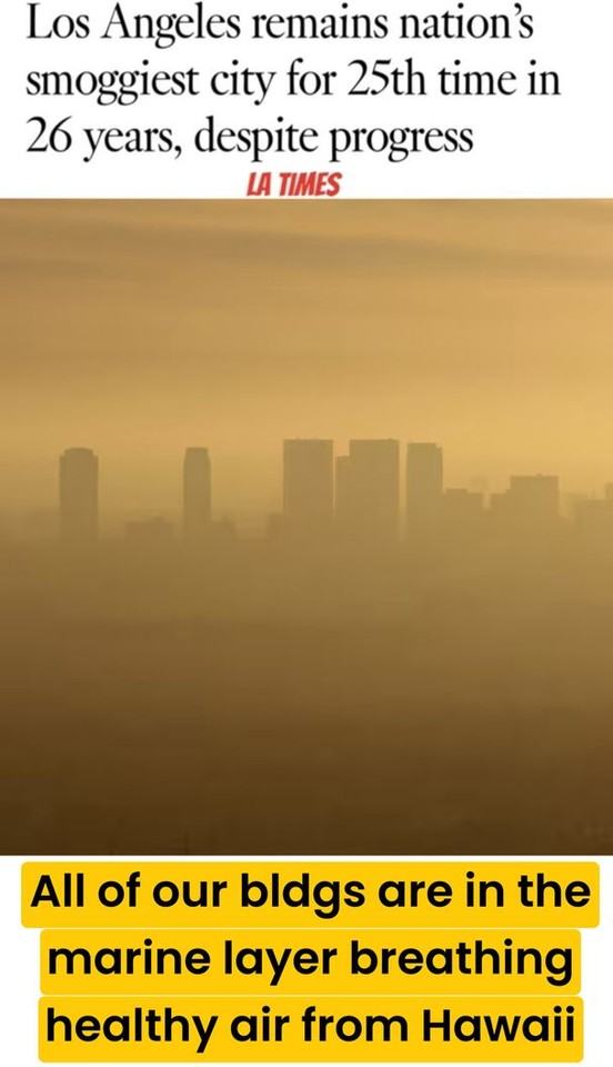 401 Sea Breeze Apts LLC - Photo 4 of 14