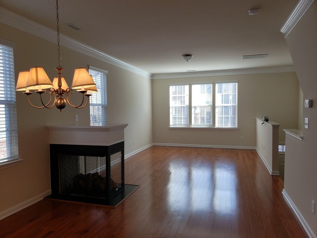 317 Dove Cottage Ln - Photo 6 of 14
