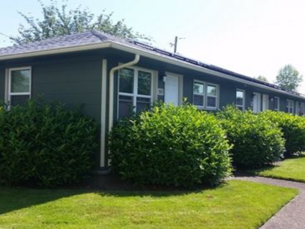 Apartment ~ Close to Campus ~ Cat Friendly - Photo 4 of 5