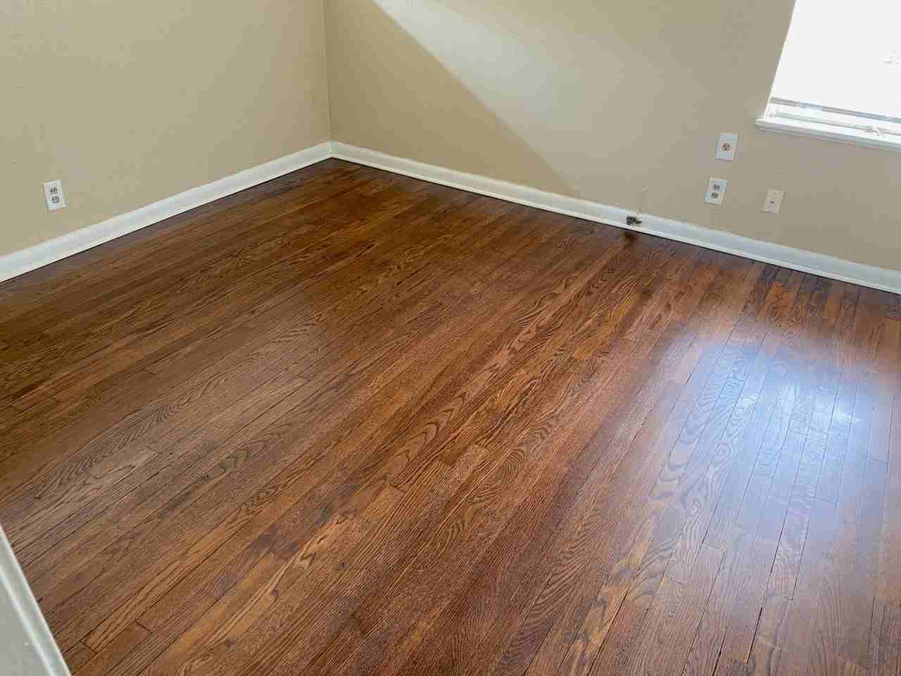 1913 Huge Oaks St - Photo 3 of 11