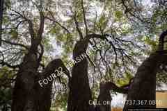 10507 Mellow Mdws #72982 - Photo 1 of 1