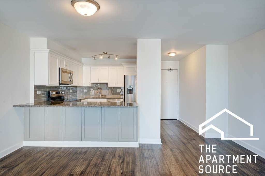 1560 North Sandburg Terrace, Unit 1503 - Photo 3 of 12