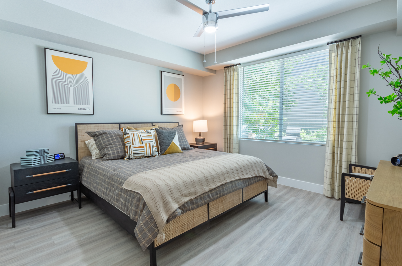 The Amelia - Photo 2 of 54