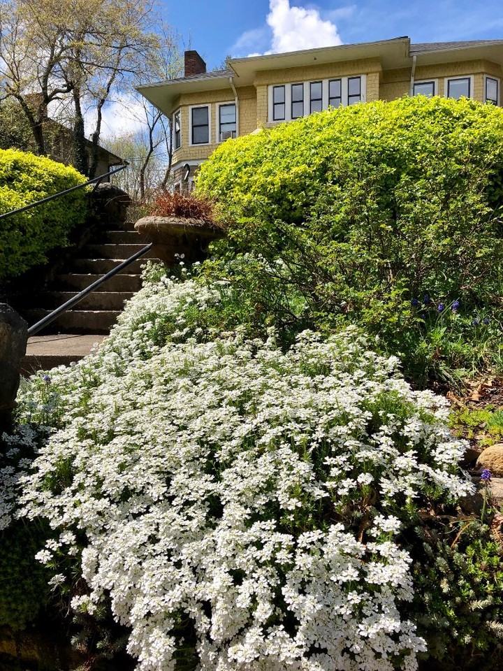 35 Panola - Photo 5 of 8