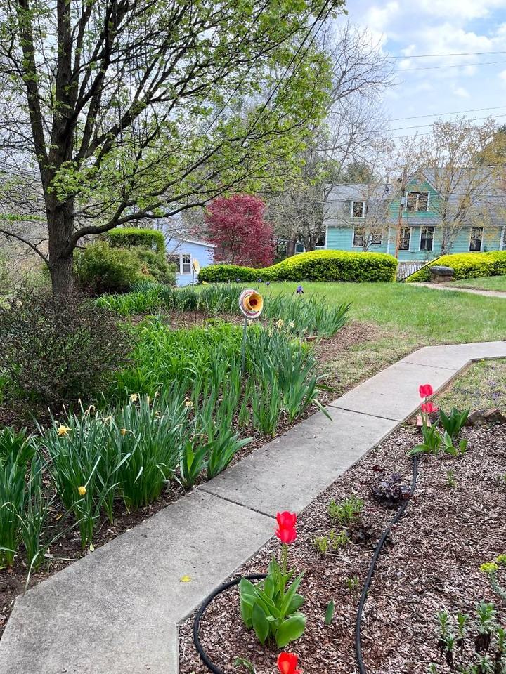 35 Panola - Photo 7 of 8