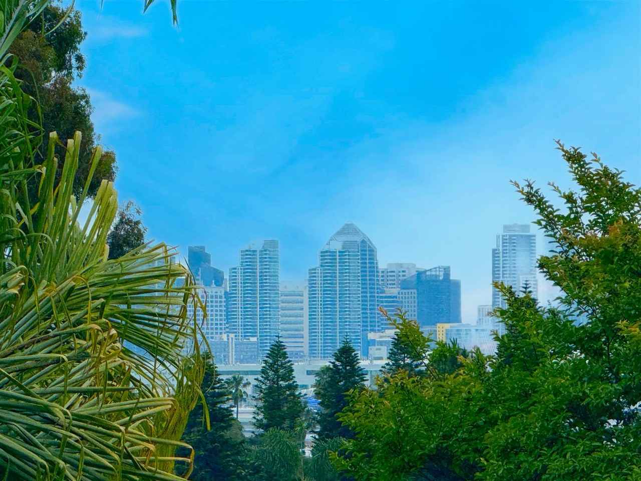 3014 Kingsley Street - Photo 6 of 12