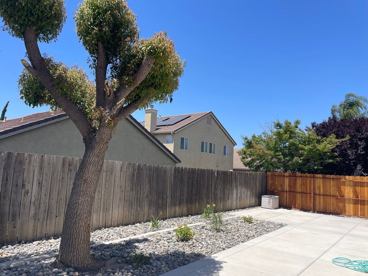 1517 Swallow Tail Ln - Photo 5 of 24