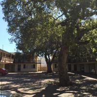 featured image of 774 774 - 778 Coleman Avenue