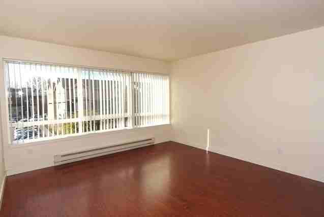 Central Park - Photo 3 of 7