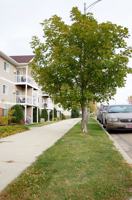 featured image of 2112 Grimsrud Dr