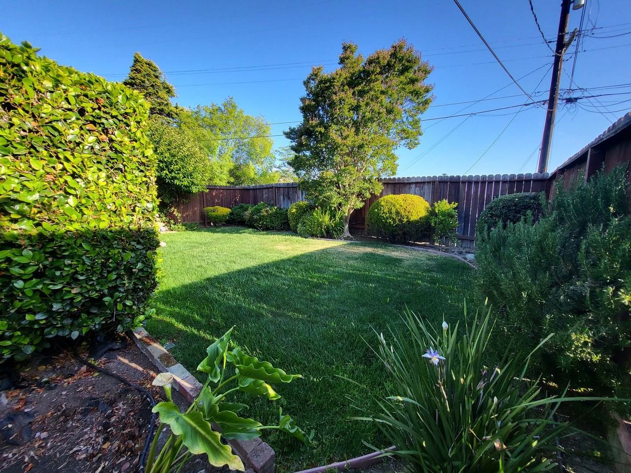 814 Marin Rd - Photo 3 of 14