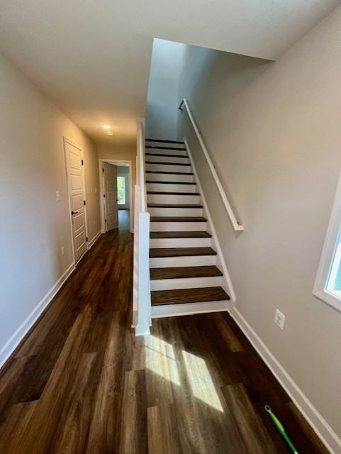 Palomino Trl - Photo 3 of 24