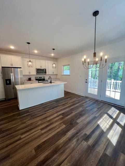 Palomino Trl - Photo 7 of 24