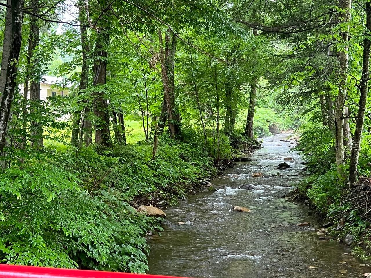 150 150 Scenic #ROAD - Photo 4 of 10