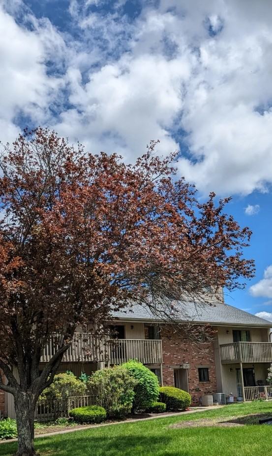 25 Amato Dr #I - Photo 2 of 20