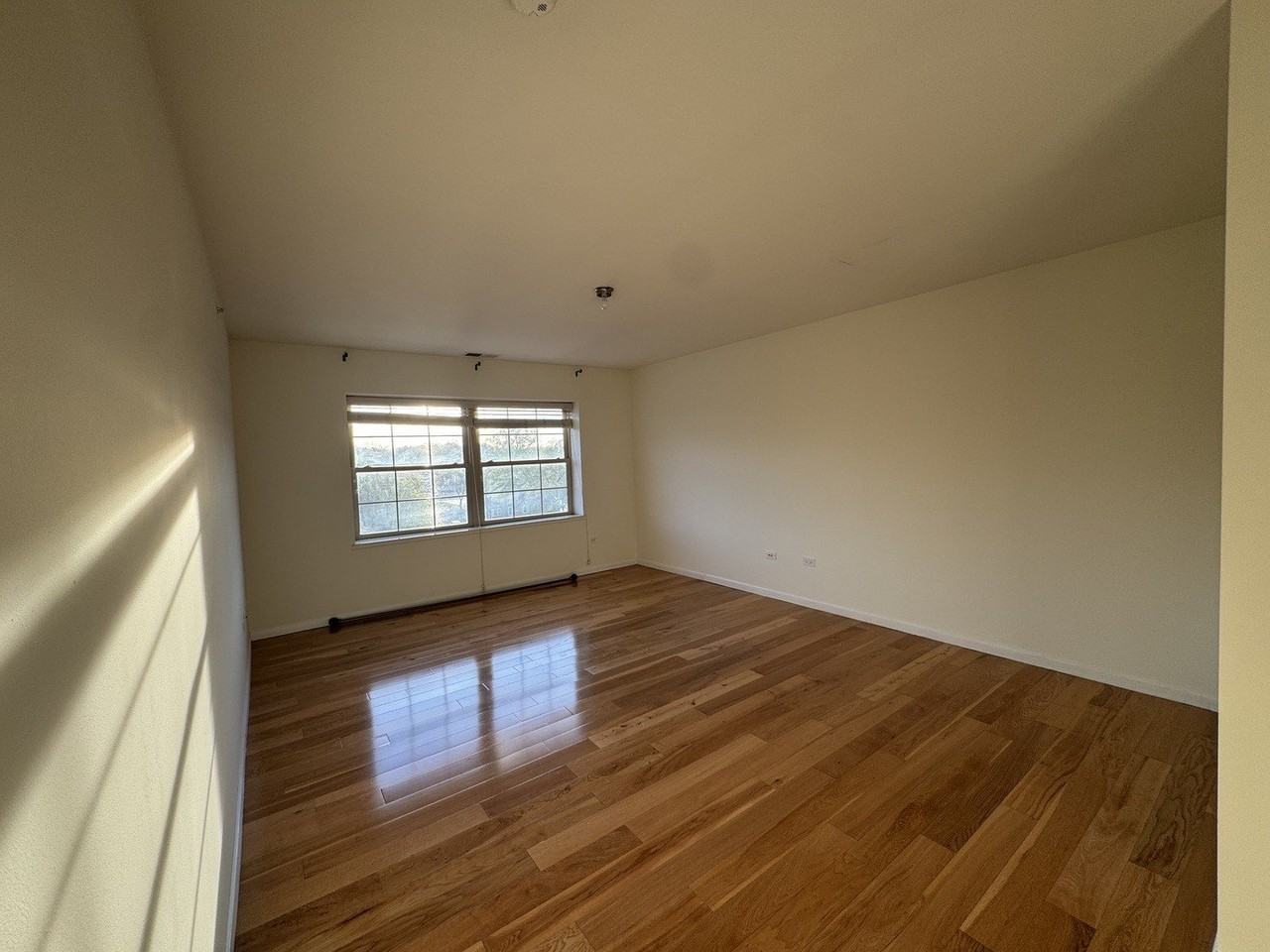 30 Nugent St #430 - Photo 6 of 18