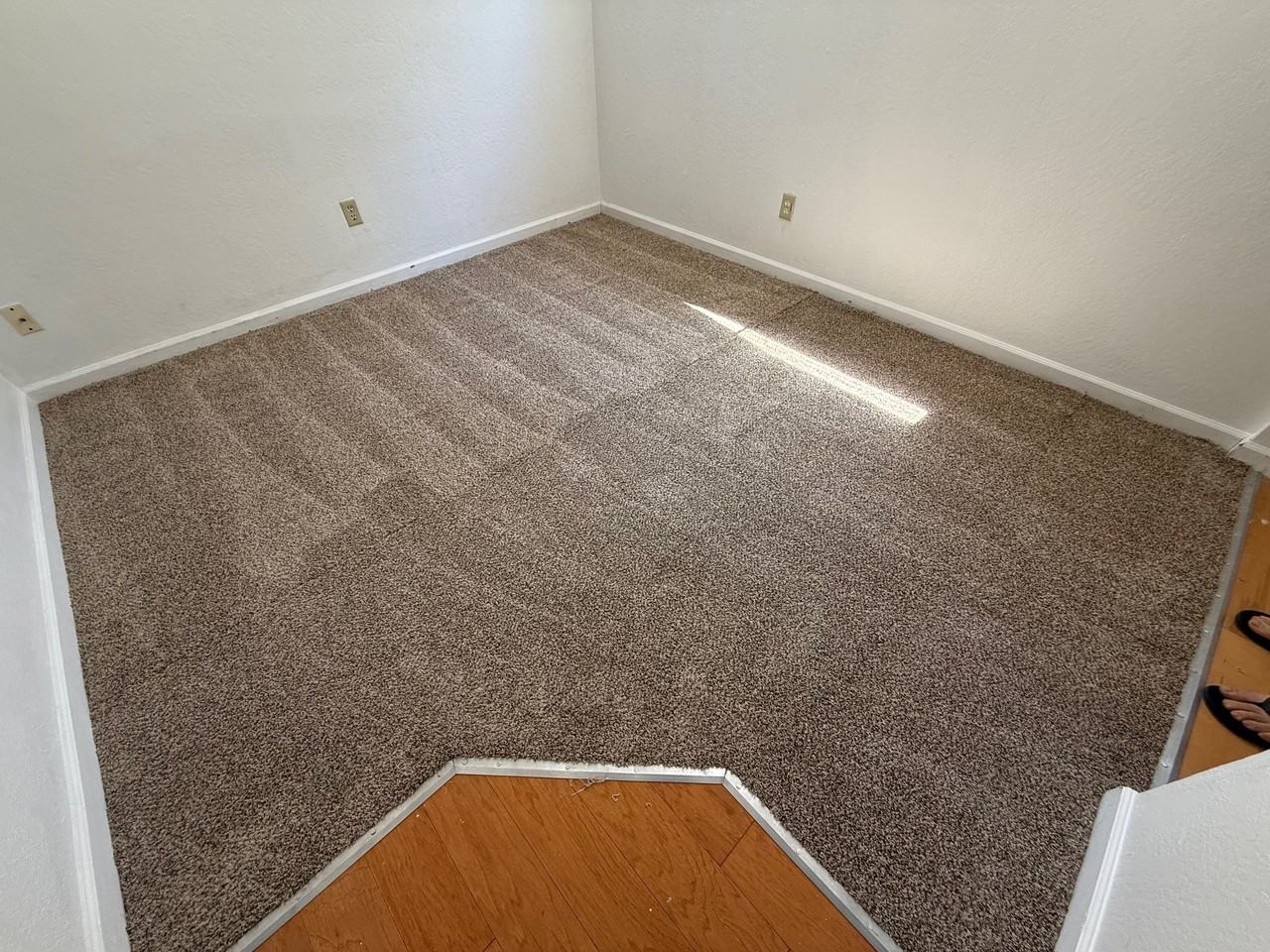 26961 Crawley Lane - Photo 2 of 14