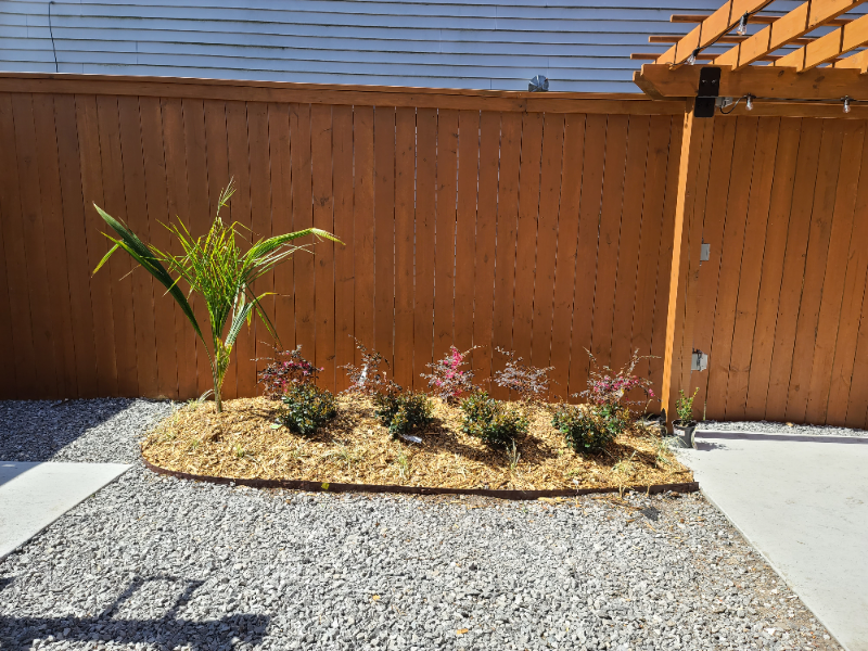 1806 7th St #A - Photo 3 of 13