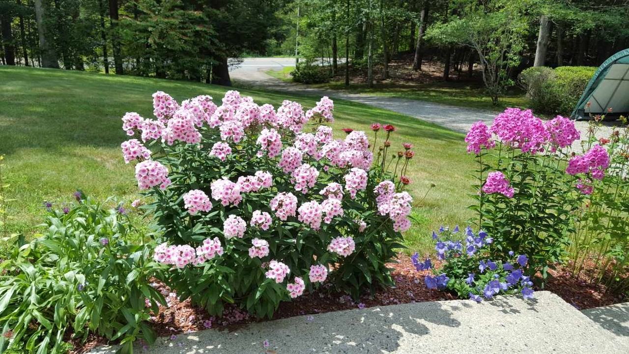 171 Route 198 #A - Photo 2 of 29