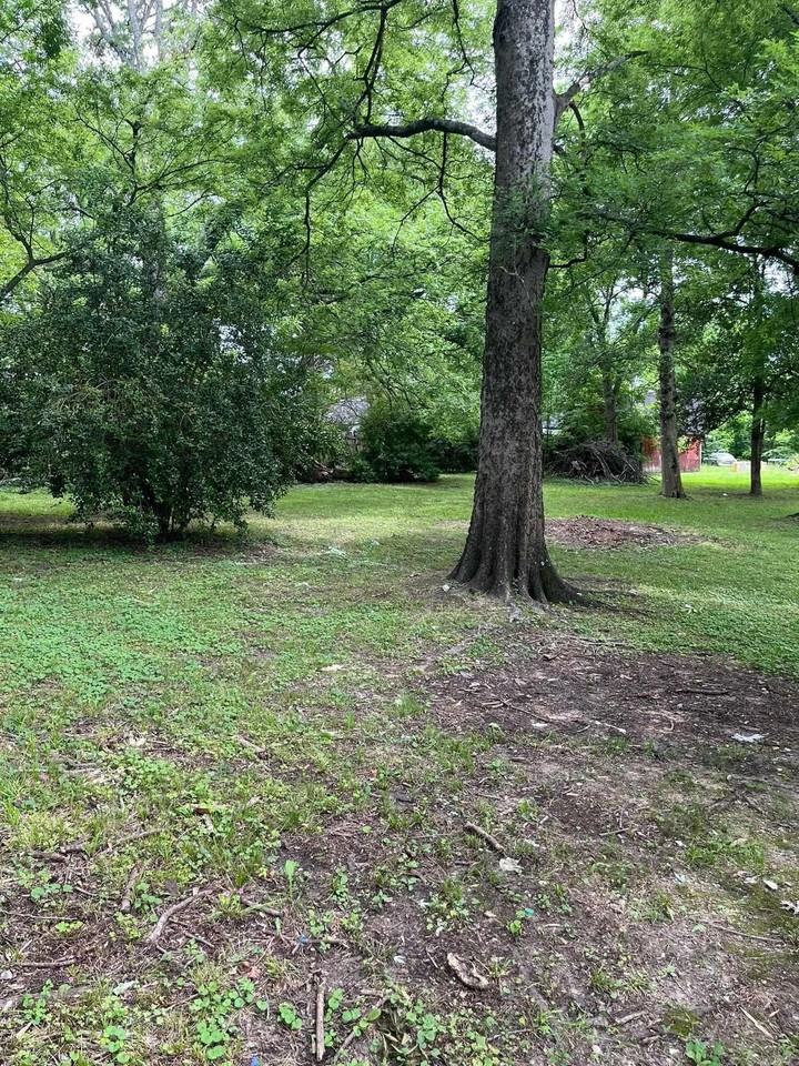 223 W Highland Ave - Photo 7 of 12