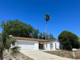 7431 Buchanan Dr - Photo 1 of 1