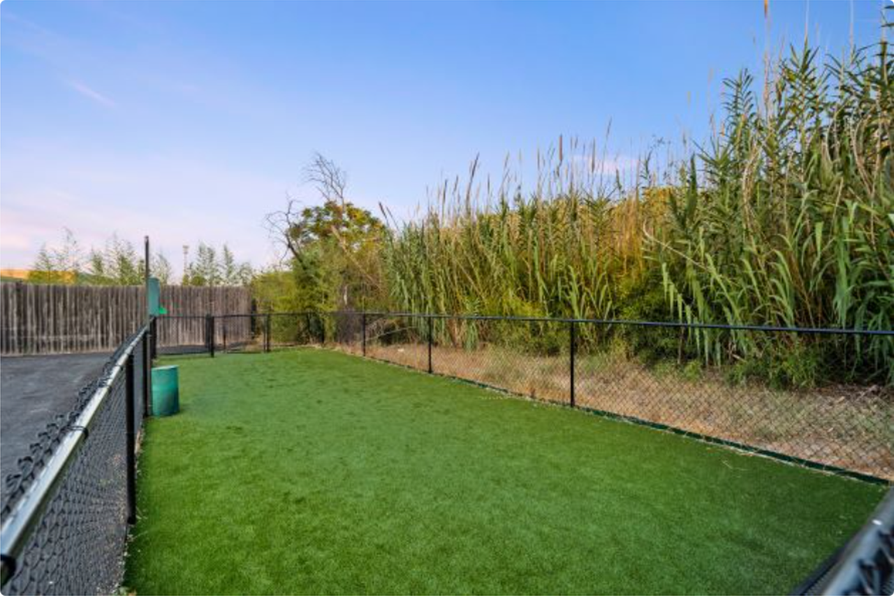 Primrose Haus Apartments! - Photo 5 of 15