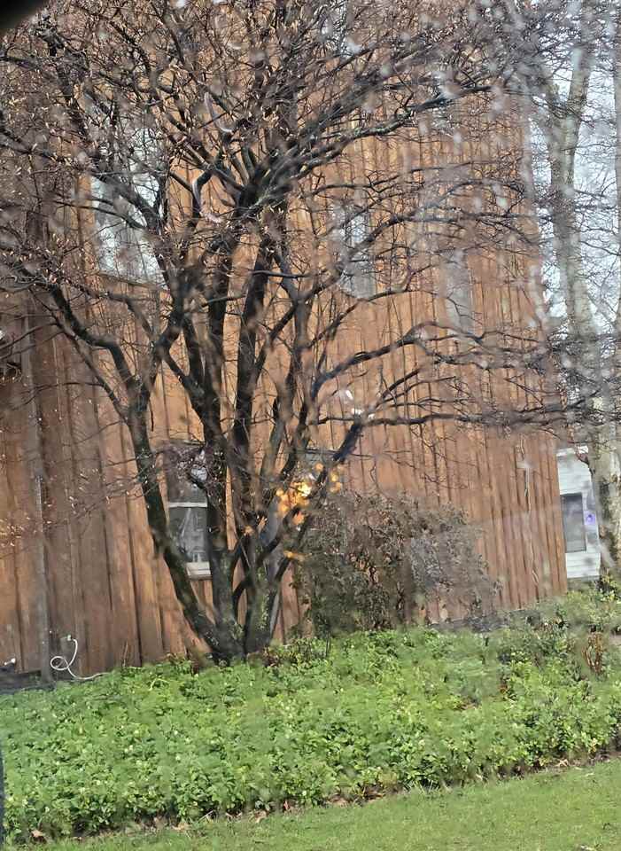 726 West 2nd Street - Photo 2 of 28