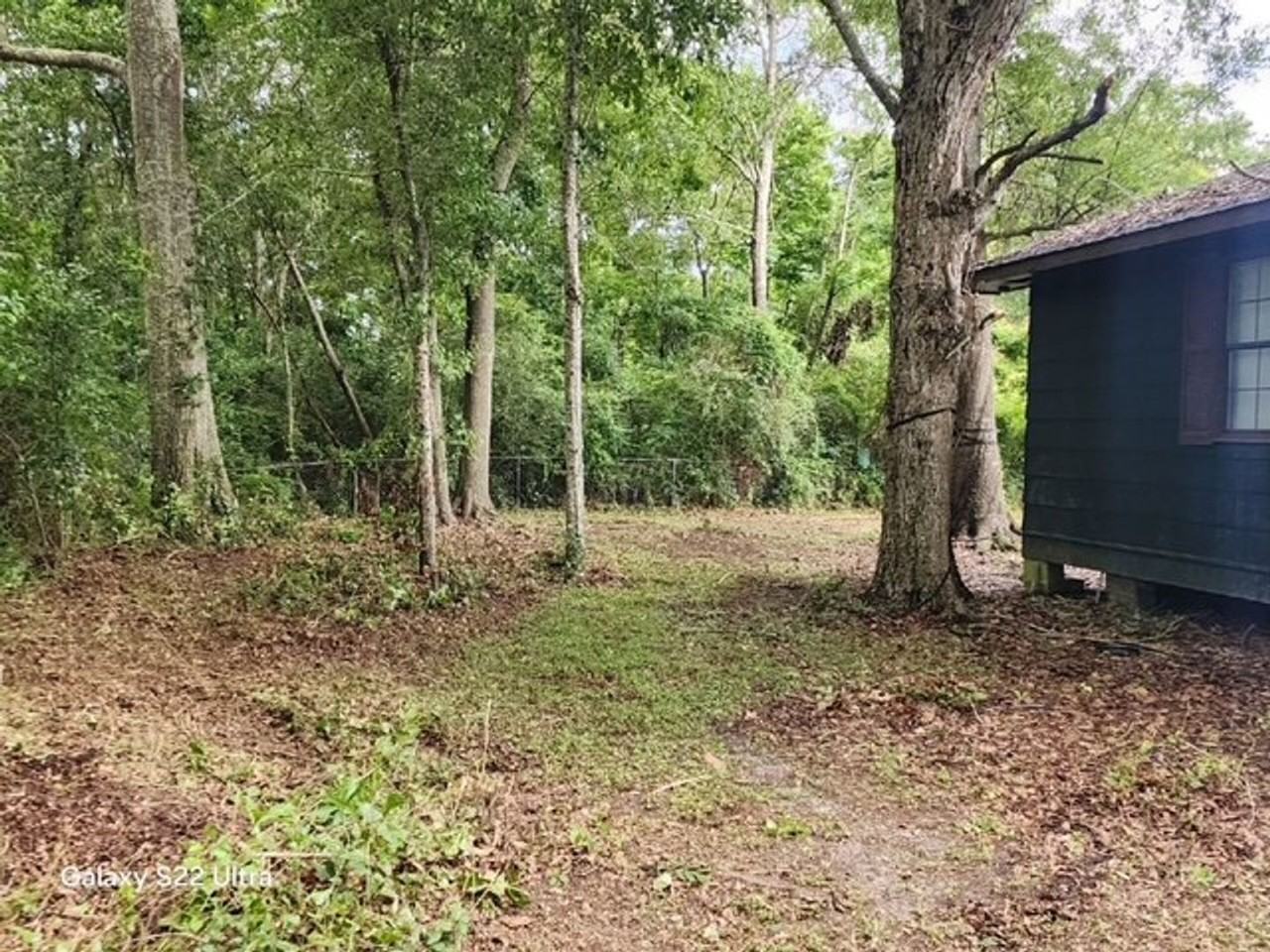 356 Live Oak Ave - Photo 4 of 16