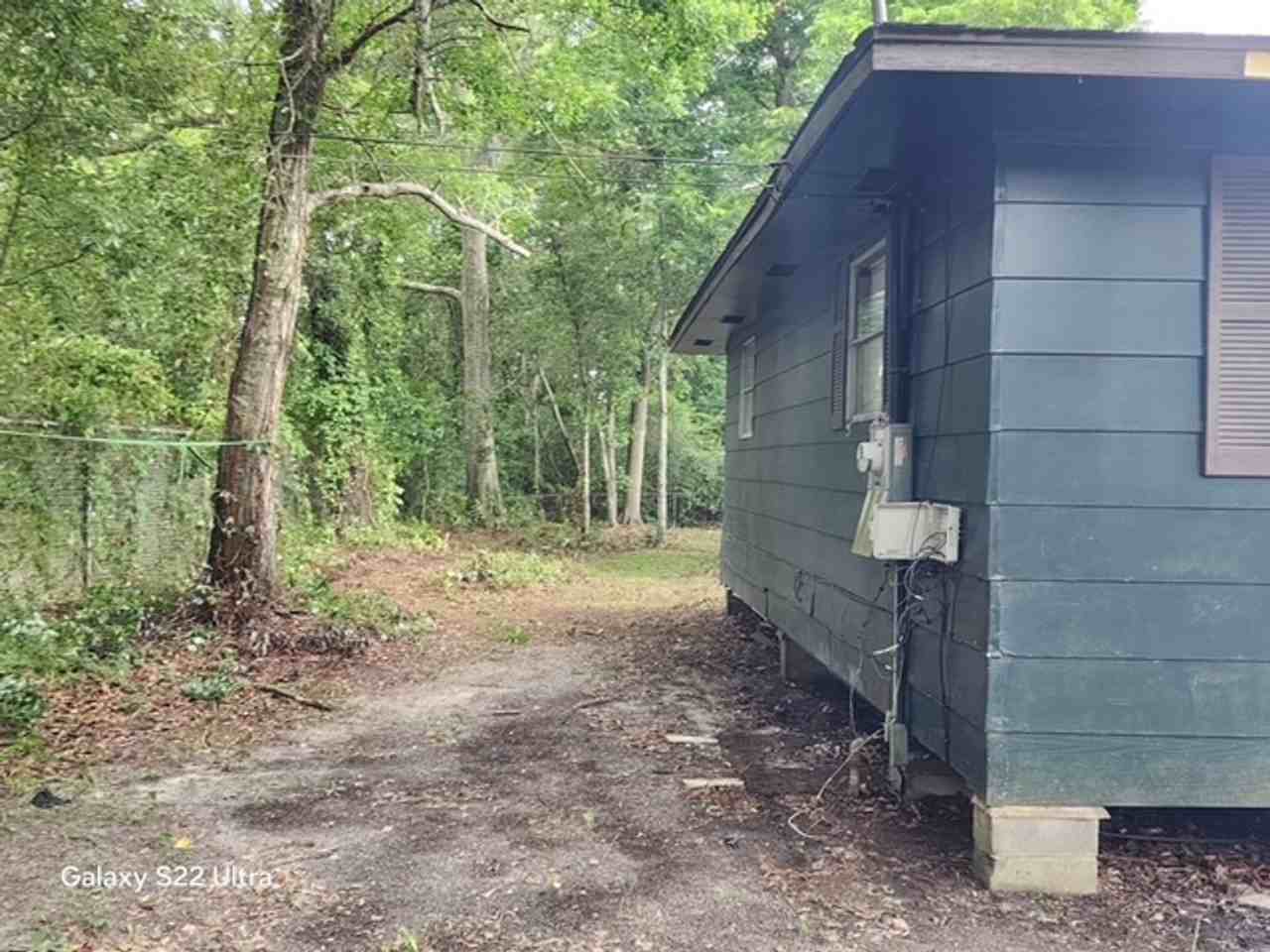 356 Live Oak Ave - Photo 5 of 16