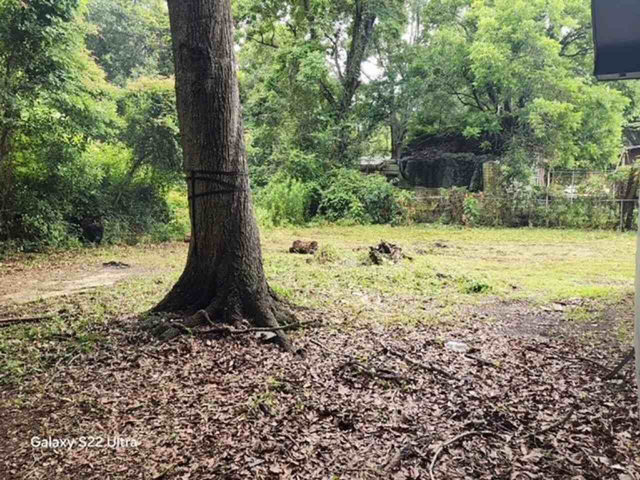 356 Live Oak Ave - Photo 6 of 16